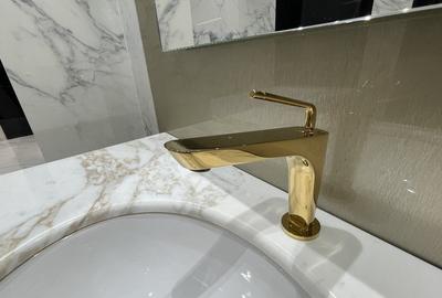 Penthouse - 260 mp utili - Piața Dorobanți - Beller - 21