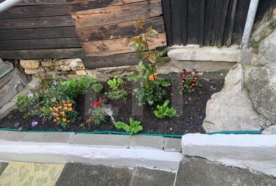 Casă cu 3 camere cu Teren 252 Mp în Turda - 14