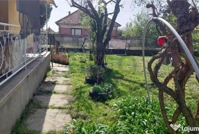 Casă cu 3 camere cu Canalizare în Salonta - 5