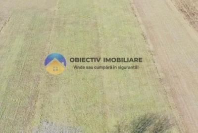 TEREN intravilan  4488 mp - PANGĂRAȚI - 5