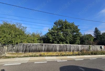 Casa cu teren Conduratu la 4 km de Mizil - 3