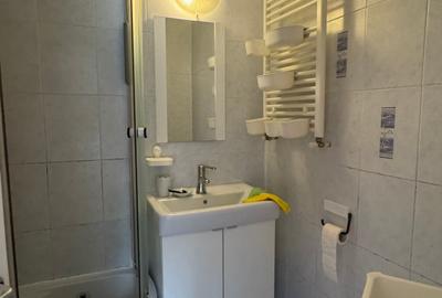 Apartament cu 3 camere decomandat în Brâncoveanu - 11