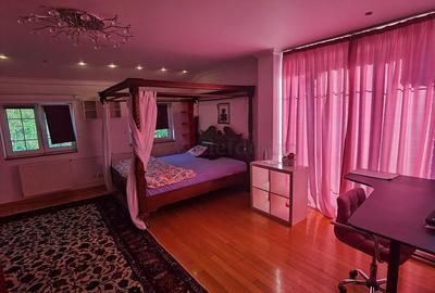 Casă individuală cu 9 camere cu Canalizare în Iancu Nicolae - 15