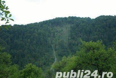 Teren de 5062 mp, în Voineasa - 5