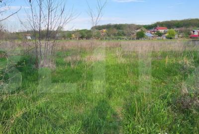 Teren de 6659 mp, în Nisipoasa - 5