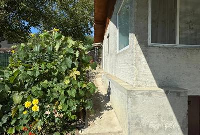 Vinzare casa Vinzare casa - 7