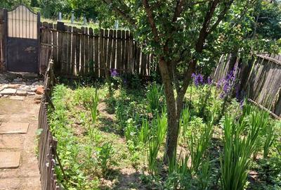 Casa batraneasca de vanzare - 6