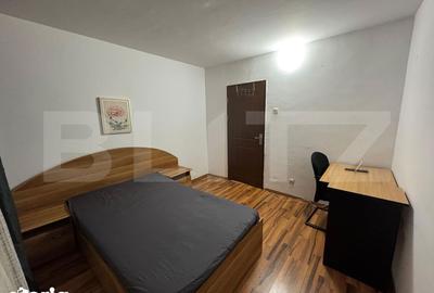 Apartament cu 3 camere semidecomandat, mobilat în Brazda lui Novac - 4