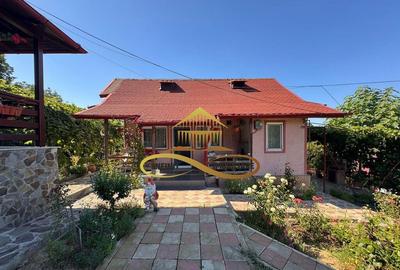 Casa si terasa de vanzare in Magura Bacau - 12