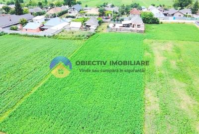 Teren Construcții intravilan de 1833 mp, în Podoleni - 3