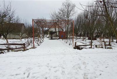Teren de 2500 mp, în Careiului - 10