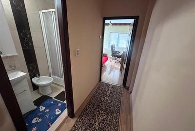 Apartament 4 camere de vanzare Dacia - 10