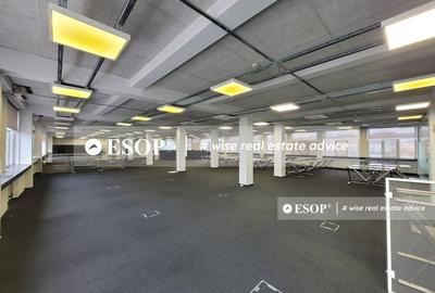 Birou, de 3,091 mp, în Pantelimon - 14