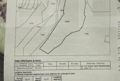 Teren extravilan impadurit, 20424 mp ideal pentru investitie - 7