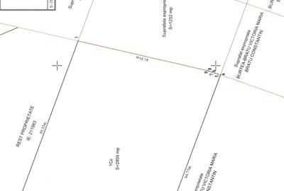 Iuliu Hațeganu Pasaj Nicolae Grigorescu - 5