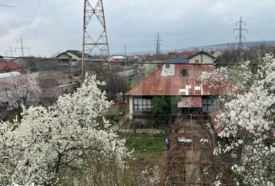 Casă cu 2 camere cu Teren 1442 Mp în Calea București - 5