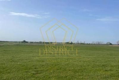 Teren arabil extravilan langa centura de Sud | Giroc Teren arabil extravilan langa centura de Sud | Giroc - 3