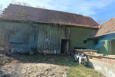 Casă cu Teren 1565 Mp în Sângătin - 7