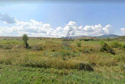 Teren agricol extravilan de 7751 mp, în Călățele