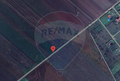 Teren 3.500 MP | Halchiu | Jud. Brasov - 5