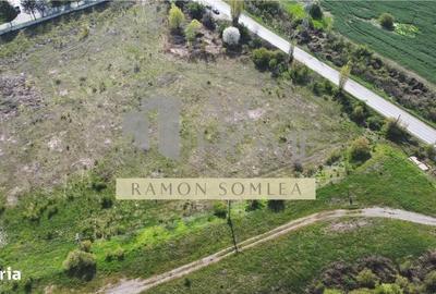 Spațiu comercial, în Est - 1