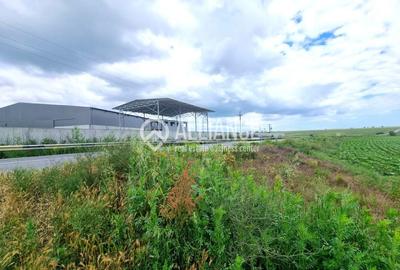 Teren agricol extravilan de 4000 mp, în Central - 4