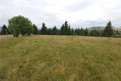 Teren de 7000 mp, în Piatra - 3