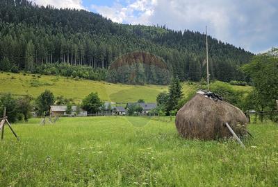 Teren intravilan 4822 mp C. Moldovenesc, Suceava - 10
