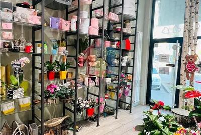 Spațiu comercial, de 25 mp, în Călărași - 5