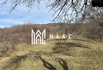 Teren  extravilan I 5300 mpI  Salatrucel -Calimanesti - 3