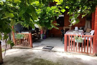 Casă cu gradina 1255mp cu sere, Copaceni , 25km de Cj-N,comision 0% - 20