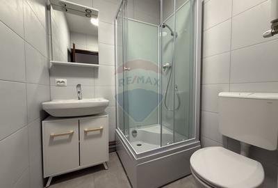 Casa / Vila cu 7 camere de vanzare in Ovidiu Sud Constanta - 13