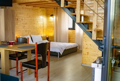 Casă cu 2 camere cu Teren 4300 Mp în Valea Brazilor - 8