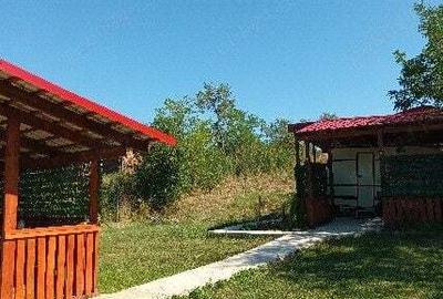 Vand casa de vacanta in TES, jud. Timis - 6