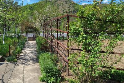 Casă cu 4 camere în Bejan - 12