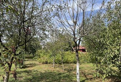 Malu, sat Butoiu Ialomita - 3