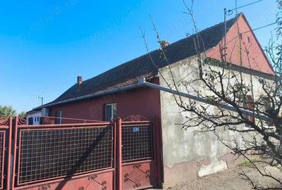 Casă cu 4 camere cu Teren 2158 Mp în Cenad - 3