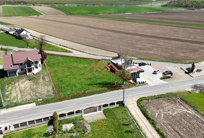 Teren de 1700 mp, în Mitocu Dragomirnei - 4