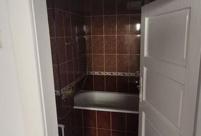 Casă cu 2 camere în Griviței - 3