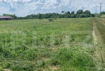 Teren Extravilan de Vanzare 40 Arii Strada Spicului - 1