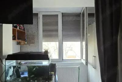 Apartament cu 2 camere semidecomandat în Iosefin - 7