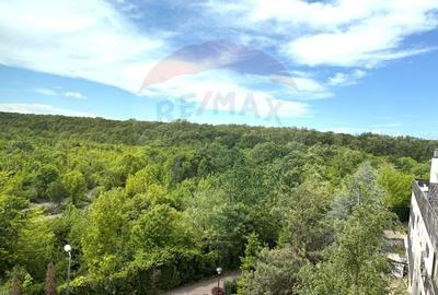 Apartament cu 3 camere semidecomandat, mobilat în Băneasa - 39