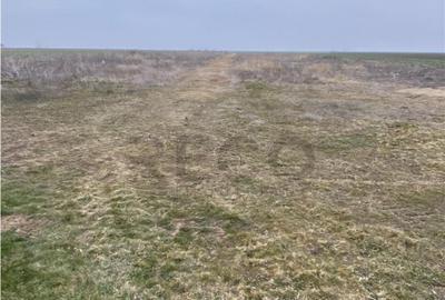 RECO Teren intravilan in Livada de Bihor 1000mp - 1