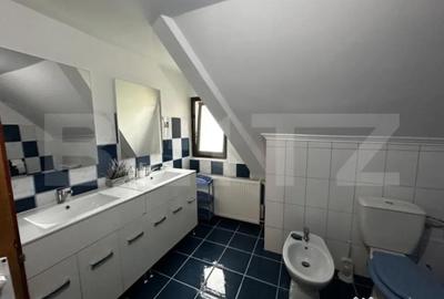 Casă cu 7 camere cu Teren 6000 Mp în Debarcader - 11