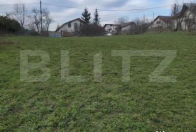 Teren de 3000 mp, în Plopu - 2