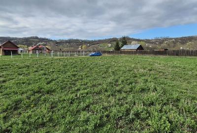 Spațiu comercial, în Cristian - 1