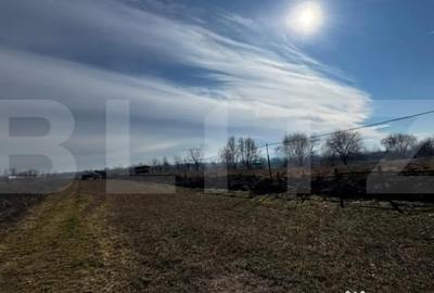 Teren în Vințu de Jos - 7