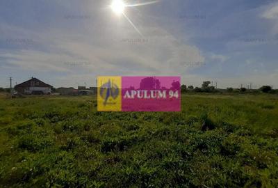 Teren construcție casă - 1 Decembrie - Zona Metropolitană București Teren construcție casă - 1 Decembrie - Zona Metropolitană București - 25