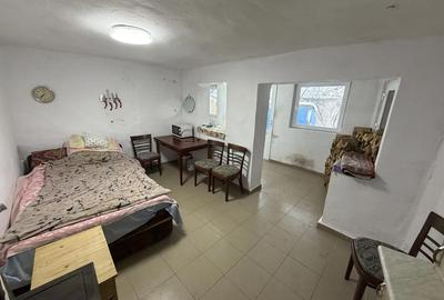 Casă cu Teren 851 Mp în Uileacu de Beiuș - 4