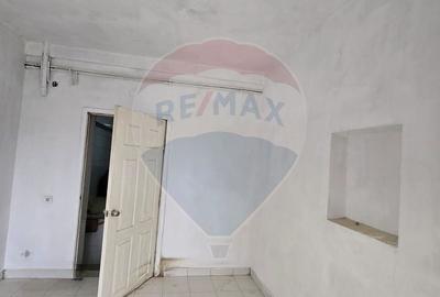 Casă cu 10 camere cu Teren 1000 Mp în Chisindia - 14